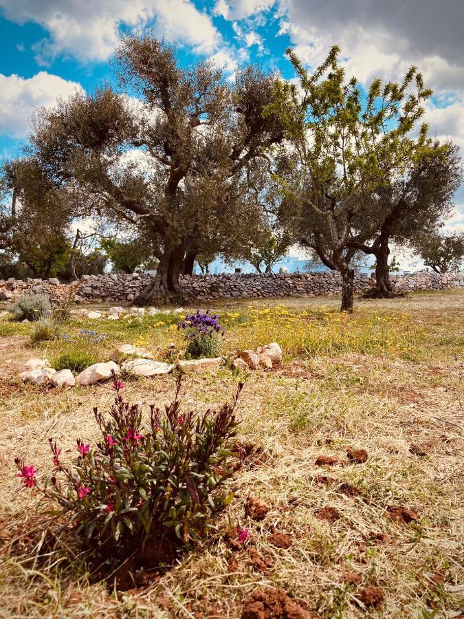 Villa Trulli Acquasala - Apulian Country Experience Ostuni Exterior foto